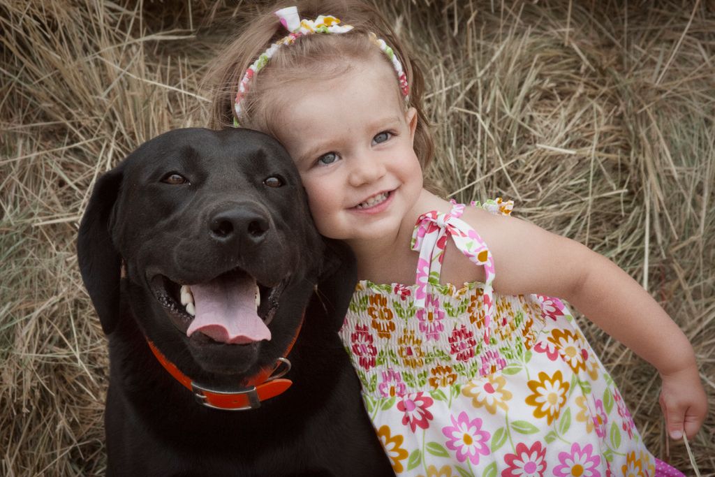 pets and children....