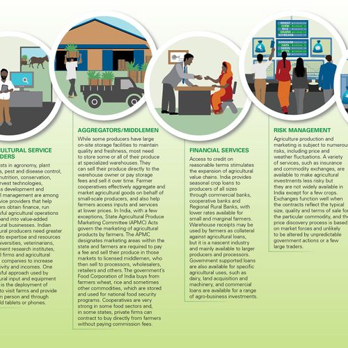 Custom illustrations depicting activities in agric