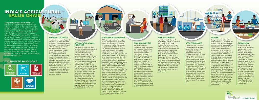 Custom illustrations depicting activities in agric