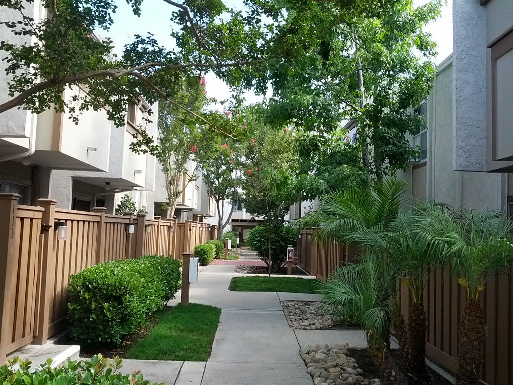 Probate sale - even through sad times the Seller w