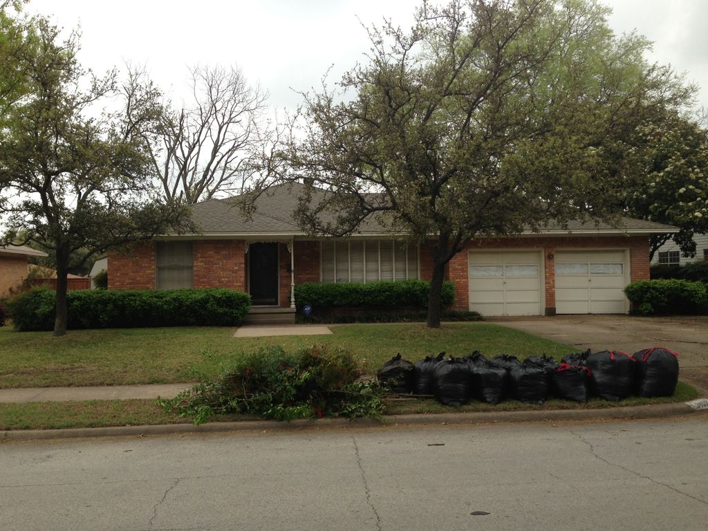 Basic lawn service and clean up of lawn