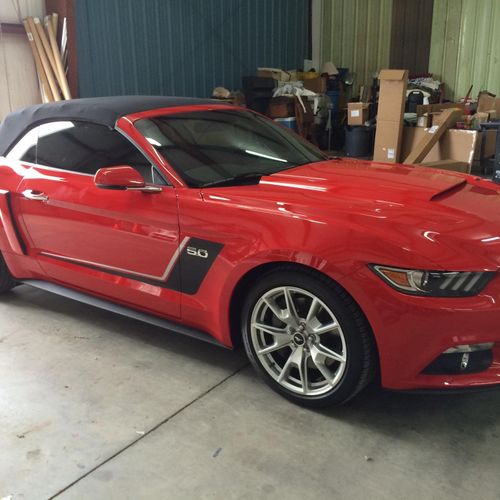 Mustang Stripes