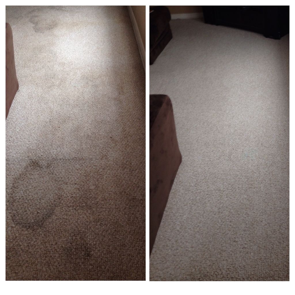 A.G.L Carpet Cleaning
