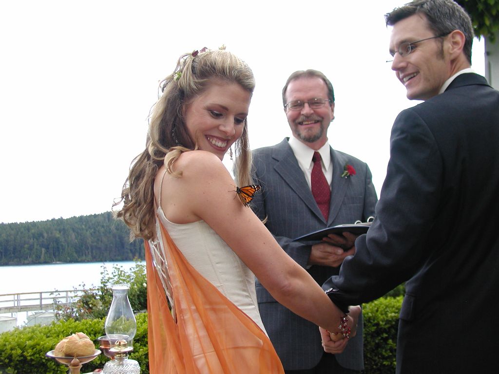 Butterfly release during Orcas Is wedding
