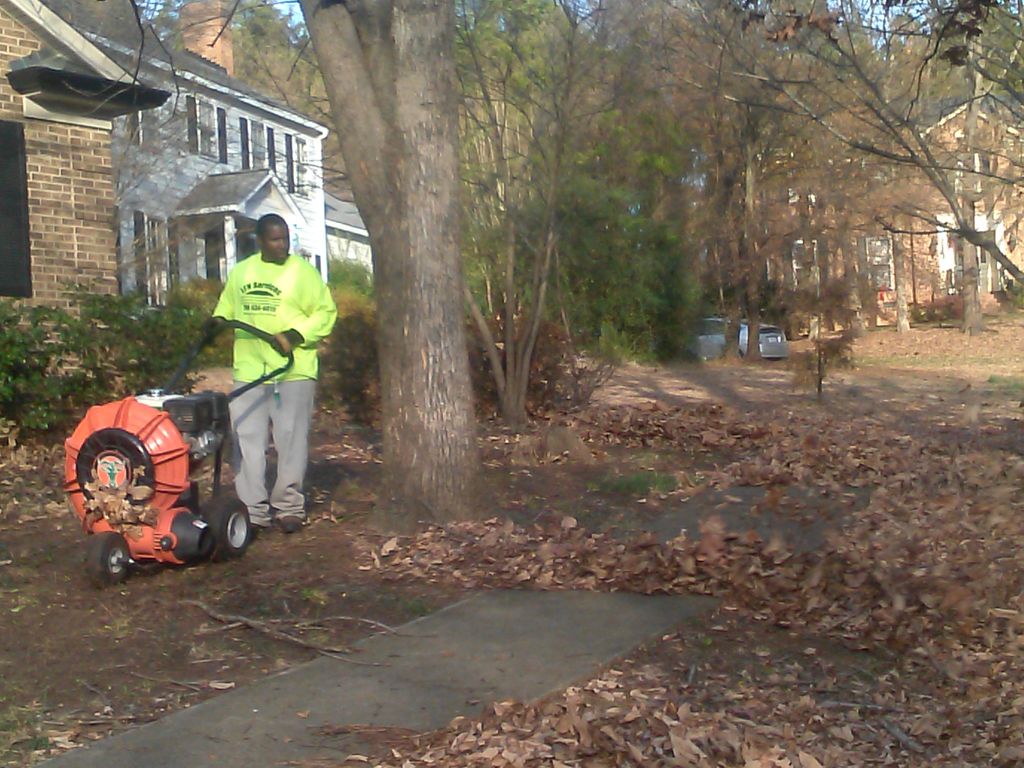 Leaf removal
