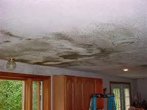 A simple leak in a roof or a pipe can quickly caus