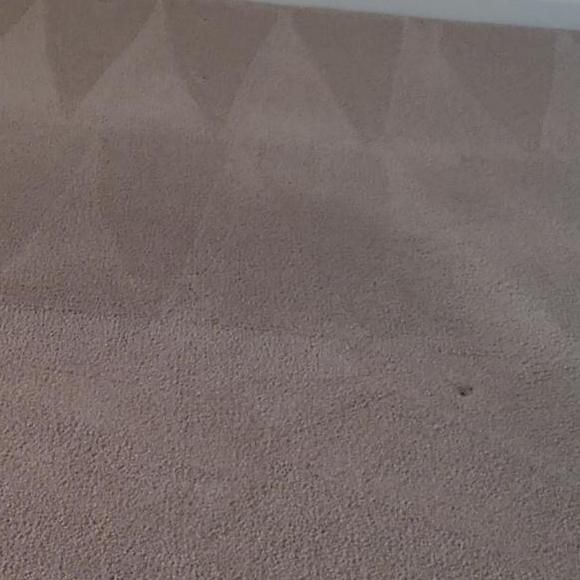 Wal to Den Cleaning Service