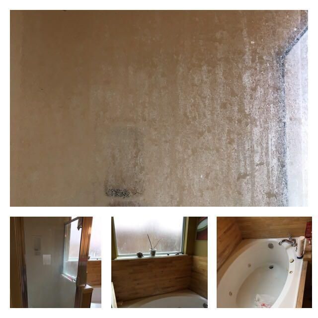 Master Bathroom before cleaning II