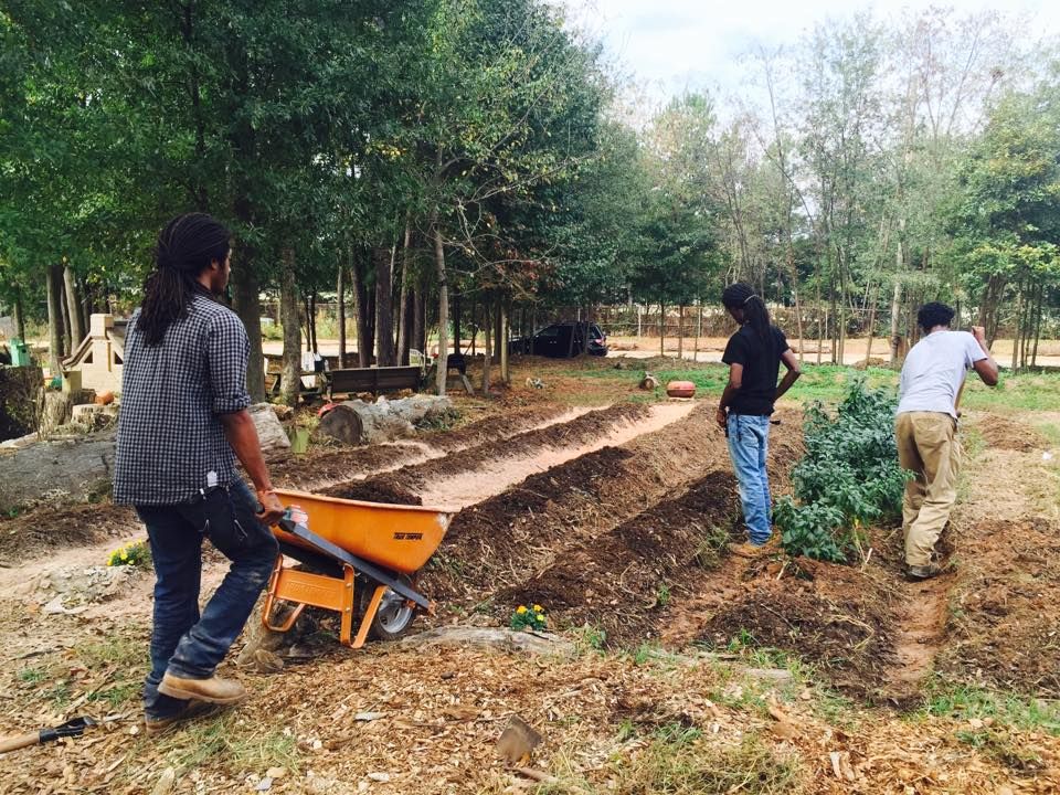 Preparing beds in the winter