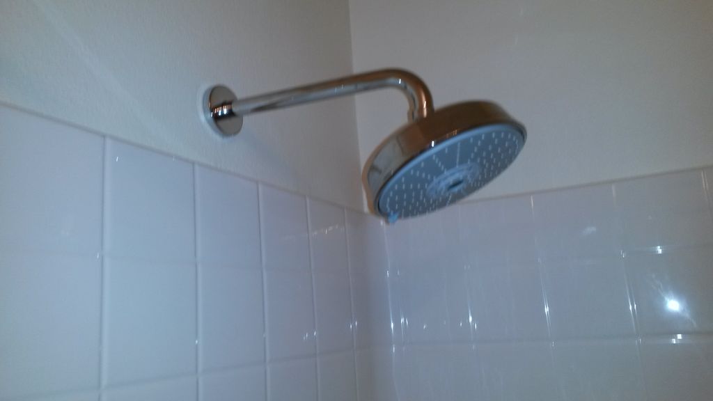 new shower head