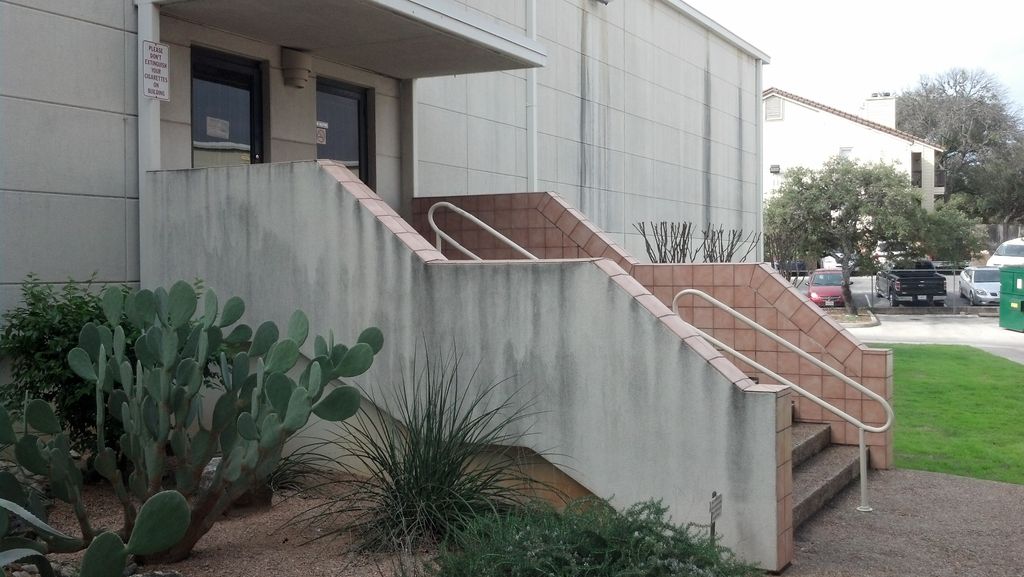 Mold, algae and mildew made this stair wall look v