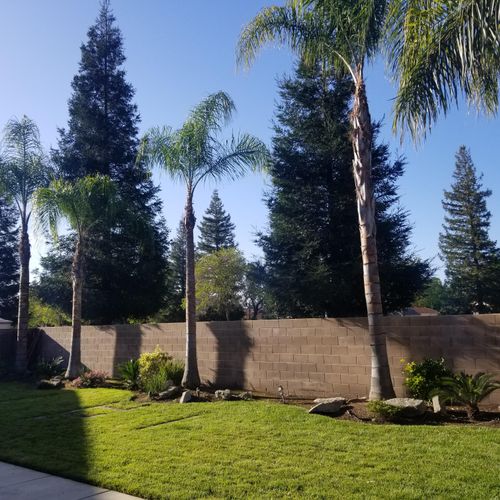 Erick�s Tree Service Fresno, CA