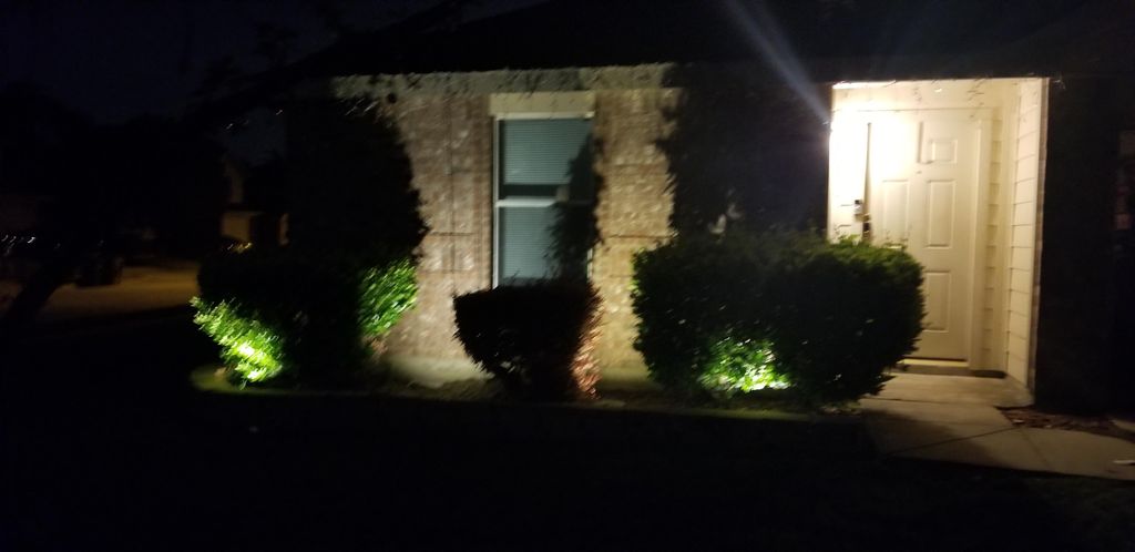 lighting in landscape 