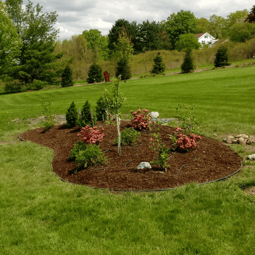 Planting bed to hide well head in Manlius.