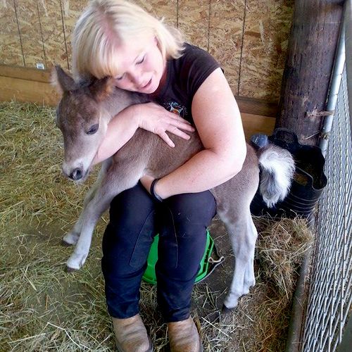 3 day old baby miniature horse.  Horse hugs are th