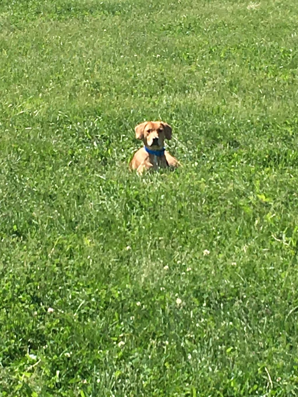 (Turbo)Long Down with some distance!