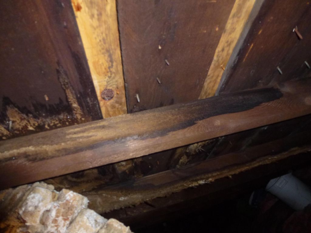 Missing ice shield on a roofing system has caused 