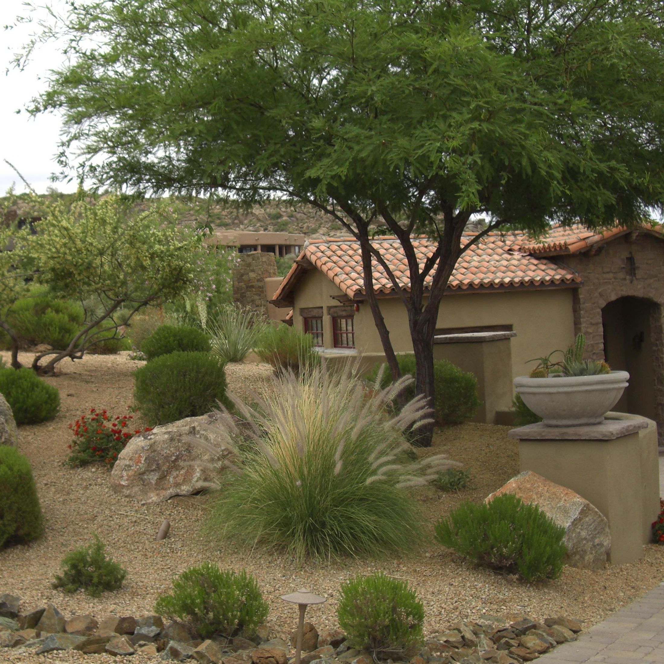 Green Earth Landscaping 358-1637 # | Tucson, AZ | Thumbtack