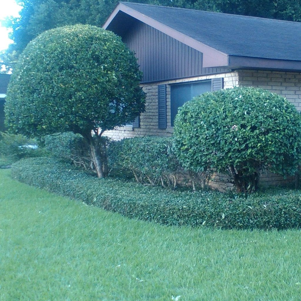 Dupree's Landscaping & Yard Care