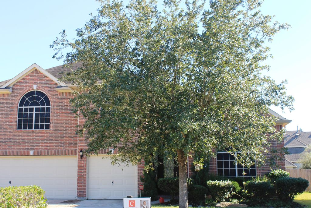 Real Estate for sale