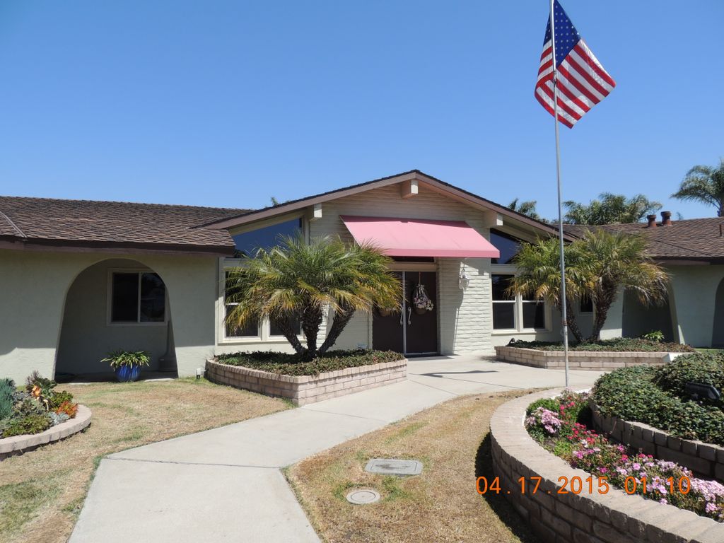 Window cleaning/Janitorial