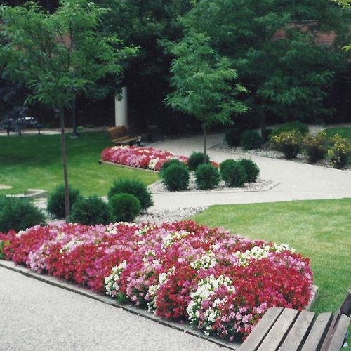 Commercial Grounds Maintenance MN