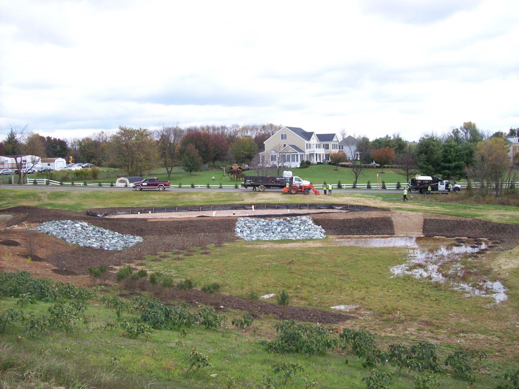 Commercial Ponds