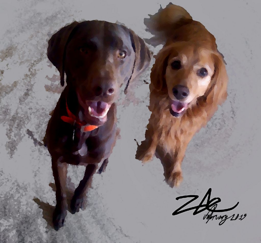 Hunter & Abby