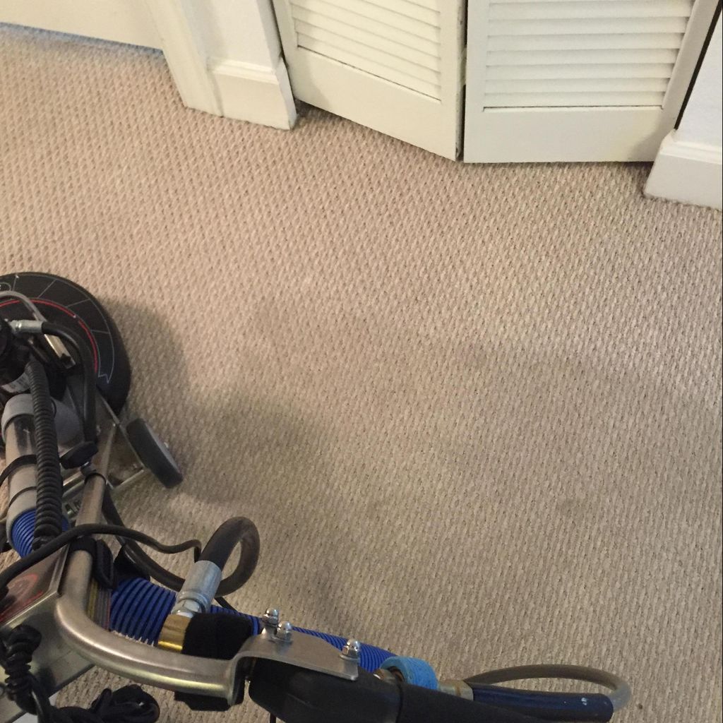 Champion Carpet Cleaning and Resoration
