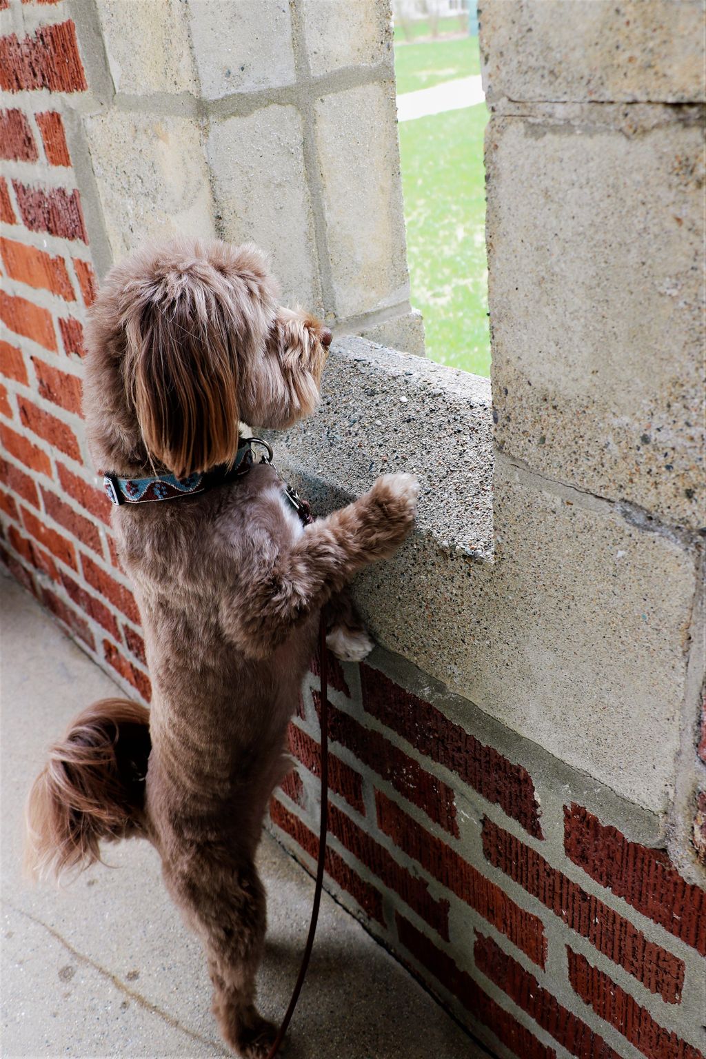 Watching birds...