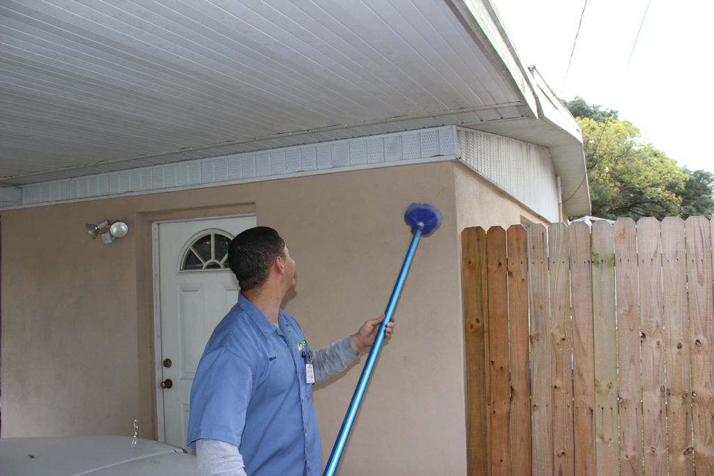 We sweep the eaves for spider webs and wasp nests