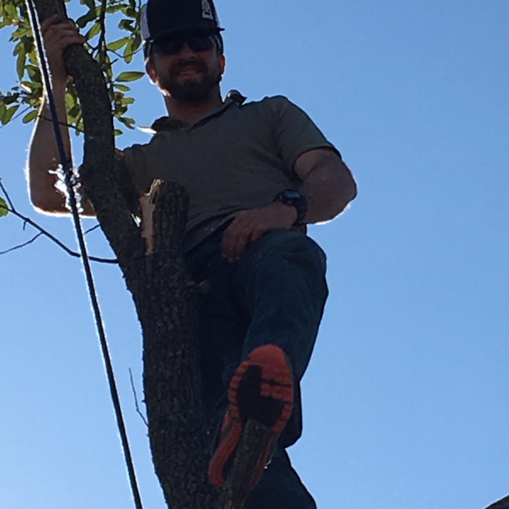 Cody's Tree Services