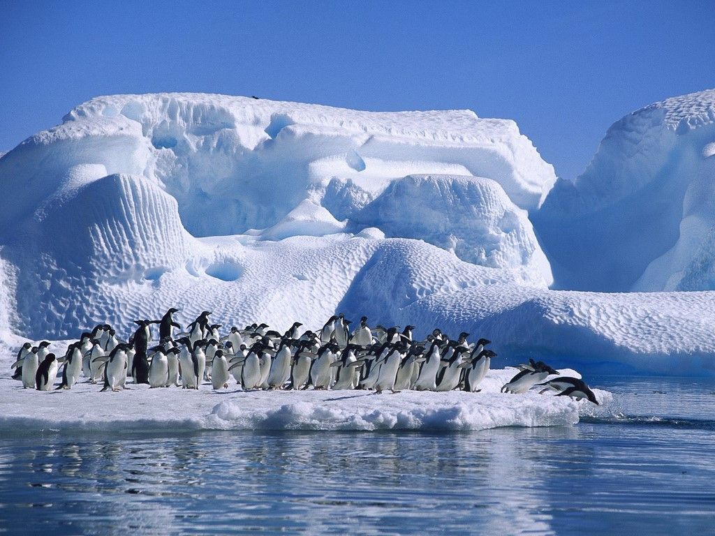 Galapagos Islands