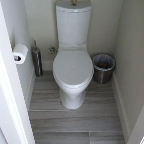 New dual flush toilet