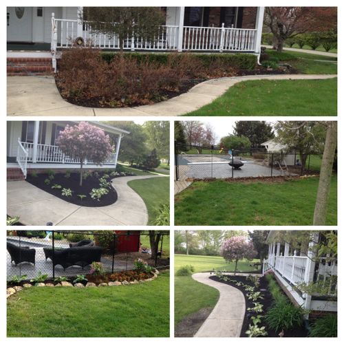 Before and After landscaping