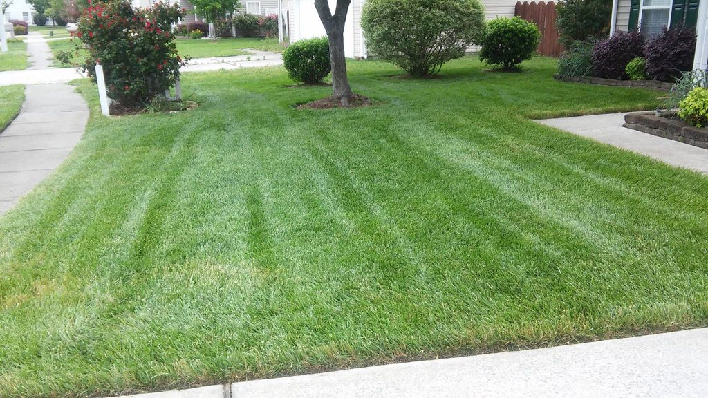 Another satisfied Client in the Hampton Roads area