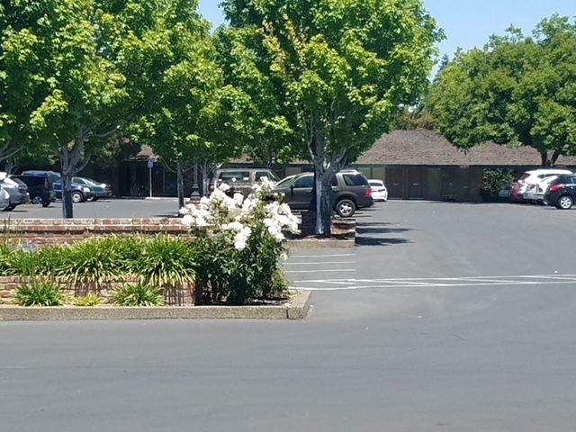 Cottage Business Center Parking Lot