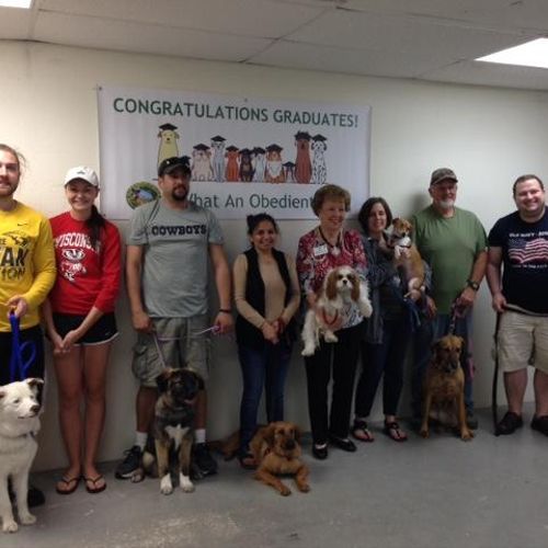 Our successful graduates of our Puppy/Beginner cla