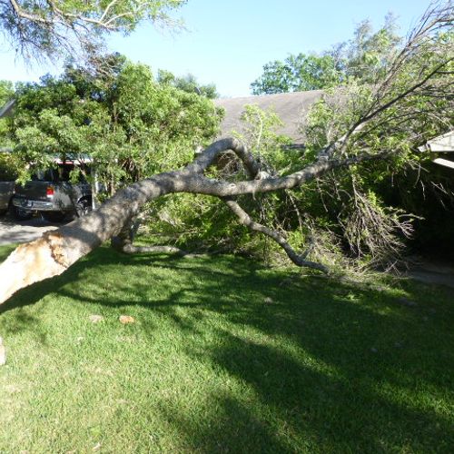 A large tree limb fell on a house and was blocking