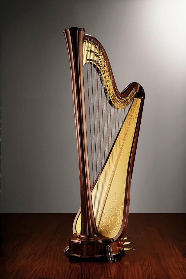 We are the ONLY music school in Houston that provi