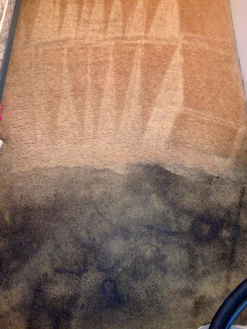 Carpet Cleaning heavy soiled carpet with pet stain