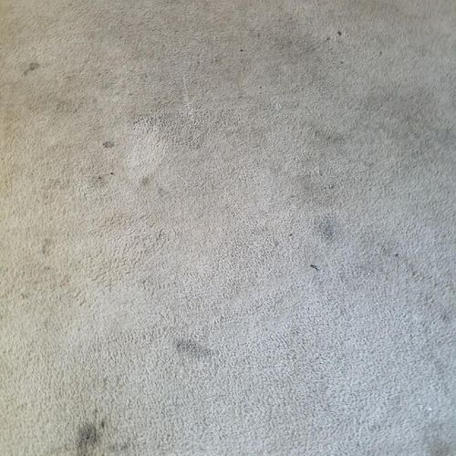 Carpet Before 6/27/2017