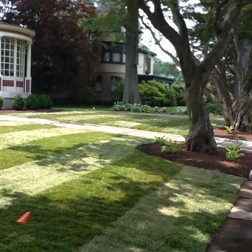New lawn install in Hartford, CT