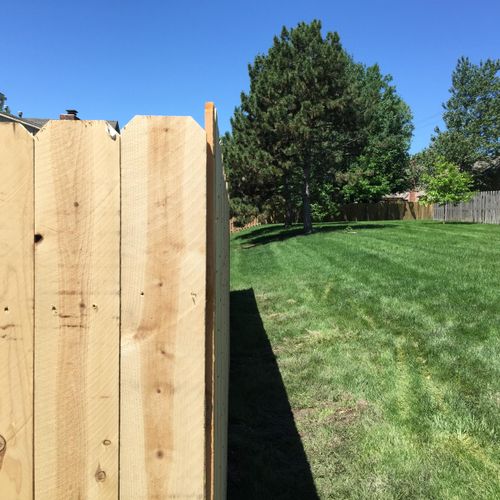 AFTER:
New fence installed with new posts, rails a