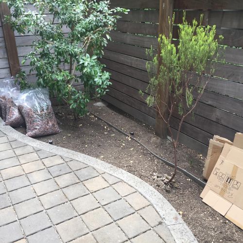 Temescal Area Project
Small backyard that needed a