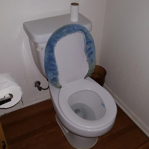 bathroom: after (toilet)