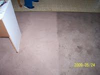 Here's what a little patience, an awesome carpet c