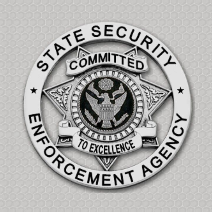 State Security Enforcement Group LLC