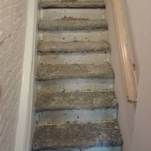 stairs before carpet