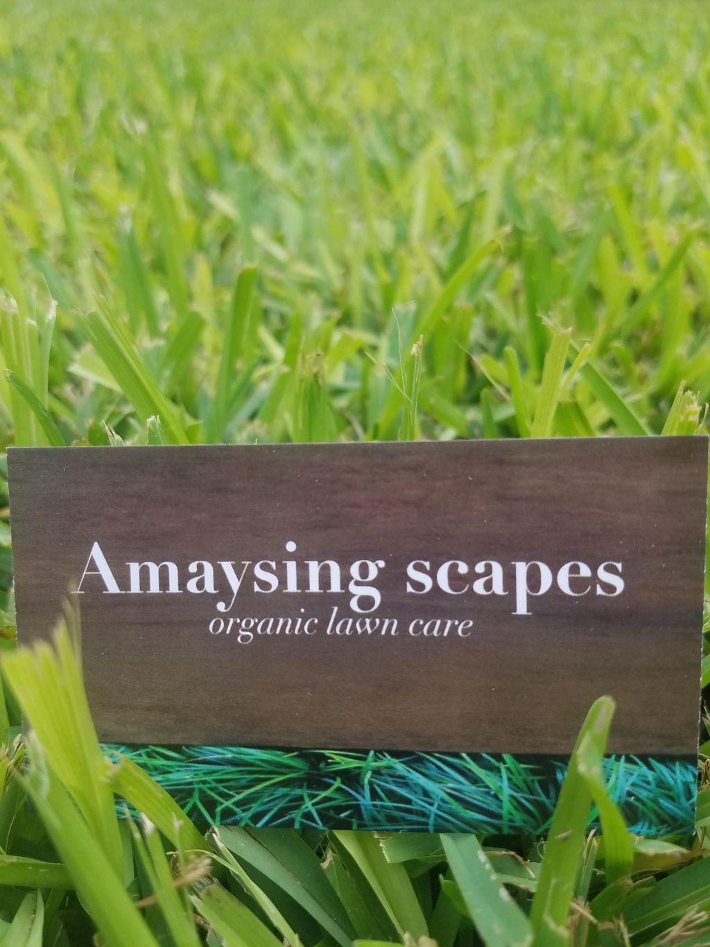 Amaysing scapes organic lawn care